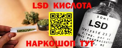 PSILOCYBIN Нальчик