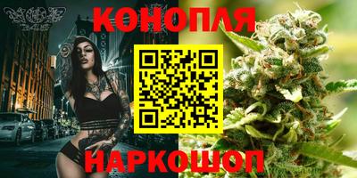 PSILOCYBIN Нальчик