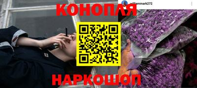 соль ск Новокубанск