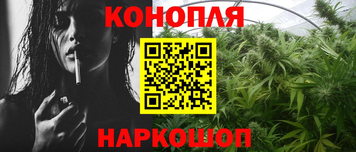 Бошки марихуана гибрид  Вход с VPN  Конопля VHQ  Шишки марихуана план  Сорочинск 